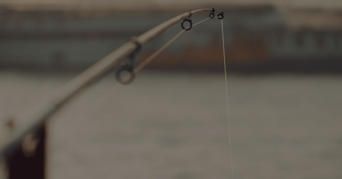 ASMEFA FISHING LINES - Fishing Gear