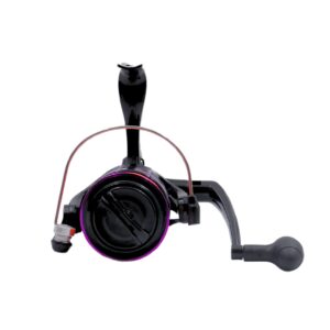 Asmefa Pioneer Astitute .02