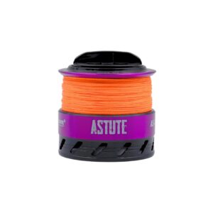 Asmefa Pioneer Astitute .05