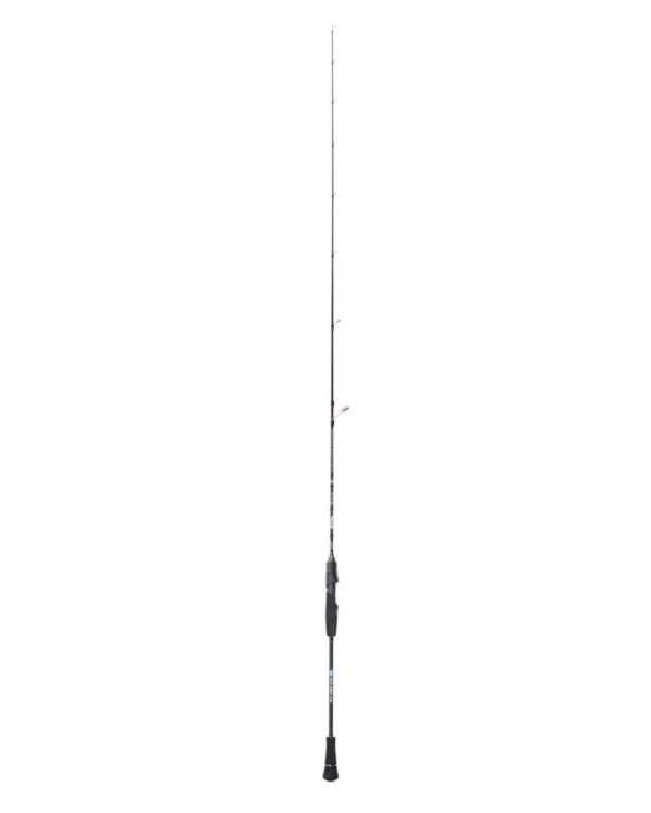 ASMEFA 1 30