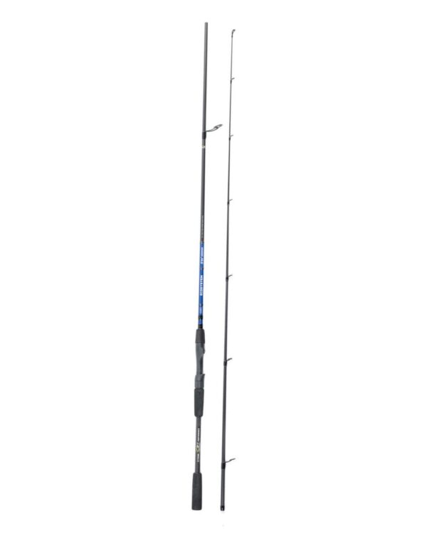 ASMEFA 1 31