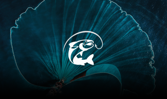 The Best Fishing Shop Near me in UAE | ASMEFA Fishing Equipment Store